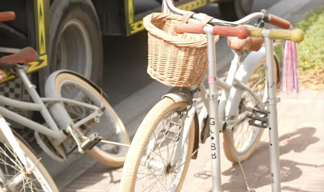 How A Free Junk Removal Service Handles Sensitive Hoarding Situations